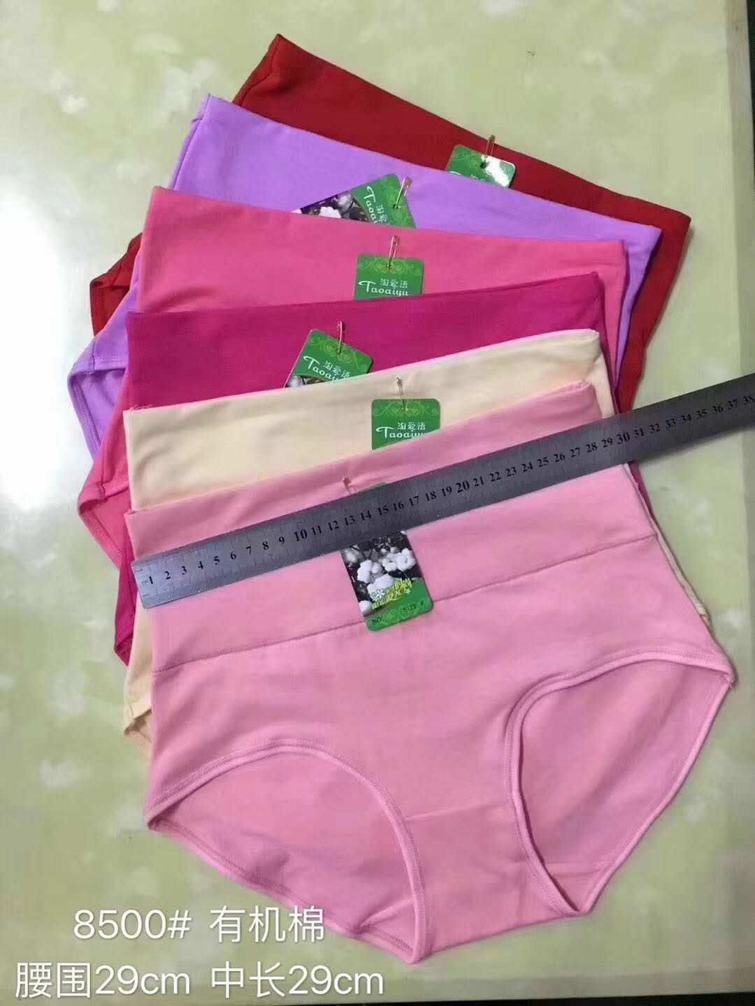 Cotton Brief Panties Plus Size